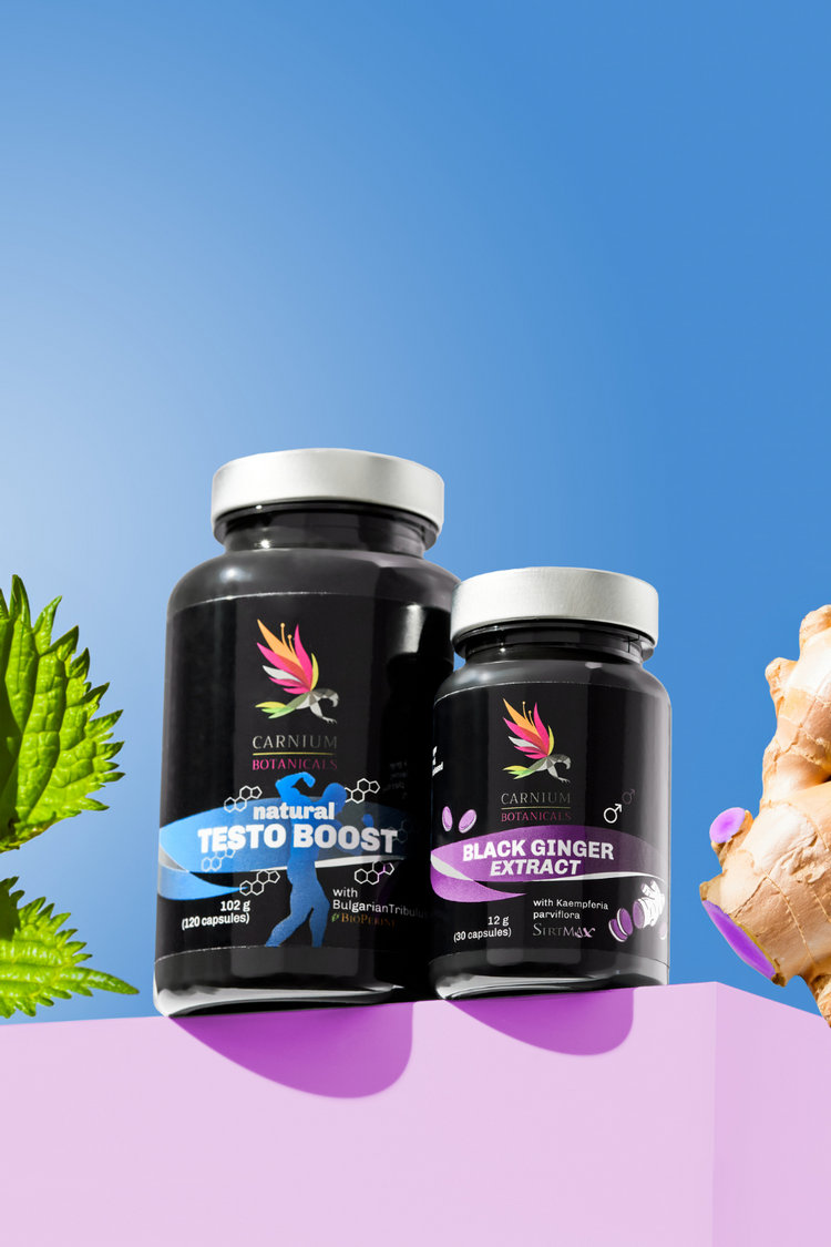 Balíček Síla, výdrž a odolnost (Natural Testo Boost + Black Ginger)